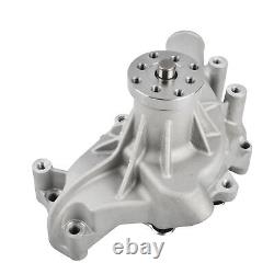 Kit de poulie de vilebrequin à rainure satinée longue et 1/2 pour pompe à eau pour SBC Chevy 305 350